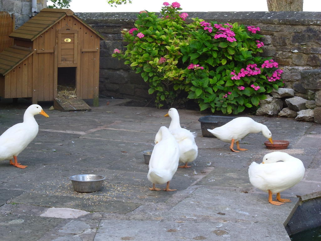 Tithe Barn Bed And Breakfast คาร์นฟอร์ธ ภายนอก รูปภาพ