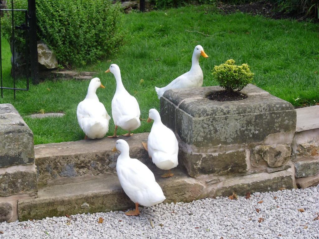 Tithe Barn Bed And Breakfast คาร์นฟอร์ธ ภายนอก รูปภาพ